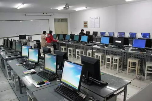 计算机网络技术与开发的演变与前沿探索